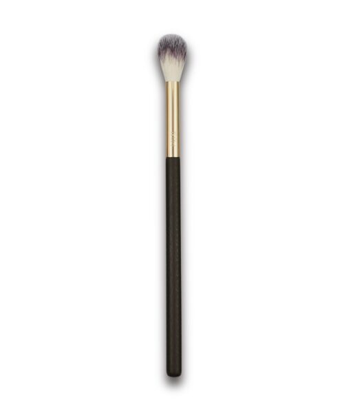 Alternative view of F06 - Pointed Highlighter Brush